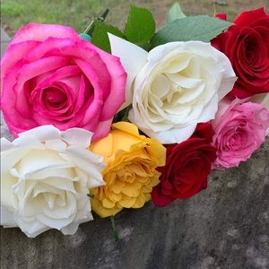 Meet your Posher, Carrie